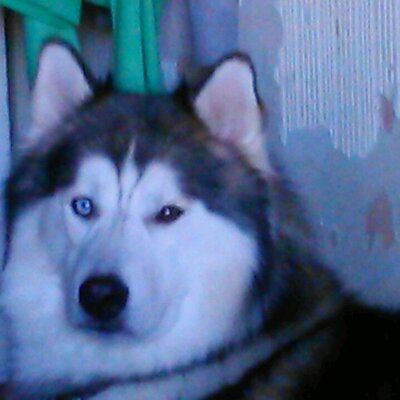 Profile Picture of Caleb Chandler (@calebchander19) on Twitter