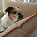 Profile Picture of Janet Krueger (@janetkrueger8060) on Instagram