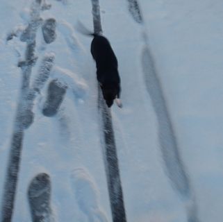 Profile Picture of Manual Castro (@manual.castro.35) on Facebook