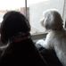 Profile Picture of Tammy Weldon (@tammy.weldon.9822) on Facebook