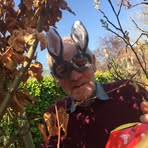 Profile Picture of Stewart Ardis (@stewart.ardis) on Facebook