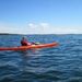 Profile Picture of Scott Edwards (@kayakbirder) on Pinterest