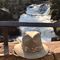 Profile Picture of Gregg Schumacher (@gregg.schumacher.71) on Facebook
