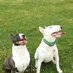 daniel del carmen santos - Instagram Profile Picture of daniel del carmen santos (@danielvarian1983) on Instagram