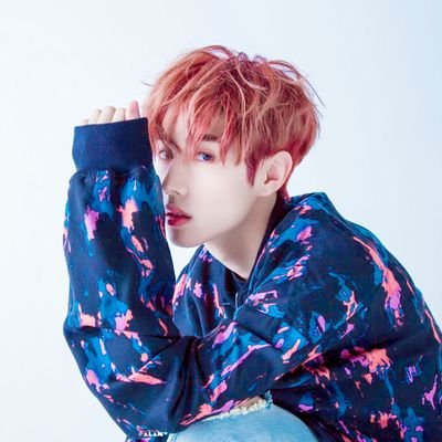 Profile Picture of Alan (@AlanLeilaZheng) on Twitter