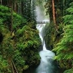 Profile Picture of Pamela Hacker (@pamela.hacker) on Instagram