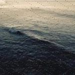 Profile Picture of Annelore Werthmann (@breiersofia) on Instagram