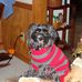 Profile Picture of Sandra Spoonhour (@sandra.spoonhour) on Facebook