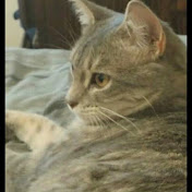 Profile Picture of Snowy Snowy (@snowysnowy6750) on Youtube