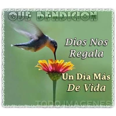 Profile Picture of Marilyn Barrera (@Marilyn15743962) on Twitter