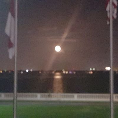 Profile Picture of Fuad Saleh (@fuadsaleh) on Twitter