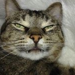 Profile Picture of Glohrmann (@eugenelohrmann) on Instagram