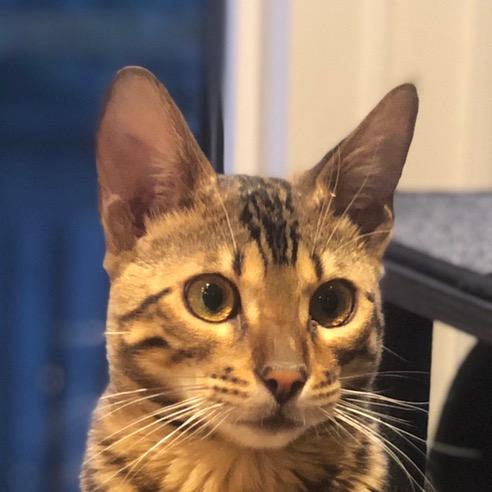 Joseph Rucker - Tiktok Profile Picture of Joseph Rucker (@@joseph.rucker) on Tiktok