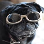 Profile Picture of John Wanderer (@curiouswandering19) on Instagram