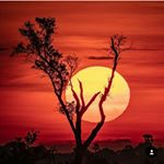 Profile Picture of ahmad (@ahmad_ziadloo) on Instagram