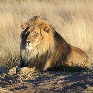 Profile Picture of Dwayne Shavers (@dshav0201) on Pinterest