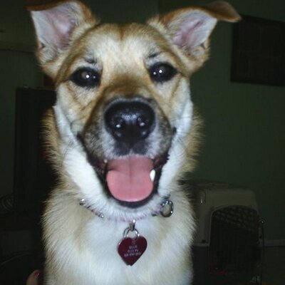 Profile Picture of Stacy Hudson (@stacyhudson) on Twitter