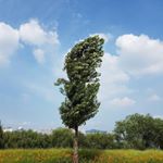 Profile Picture of 윤사월 (@wymyeong) on Instagram