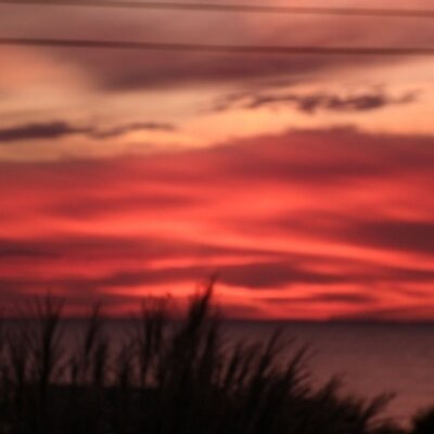 Profile Picture of Brett Corrigan (@BrettCorrigan) on Twitter