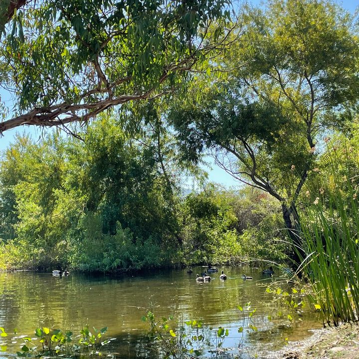 brylynchan - Tiktok Profile Picture of brylynchan (@brylynchan) on Tiktok