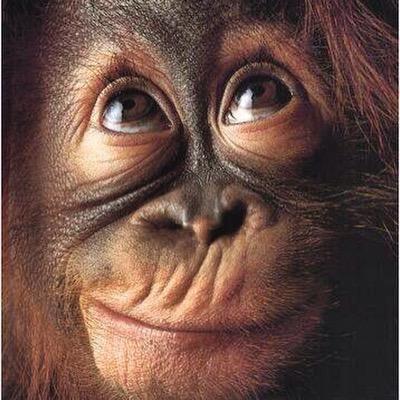 Profile Picture of Larry Chaffin (@LarryChaffin2) on Twitter