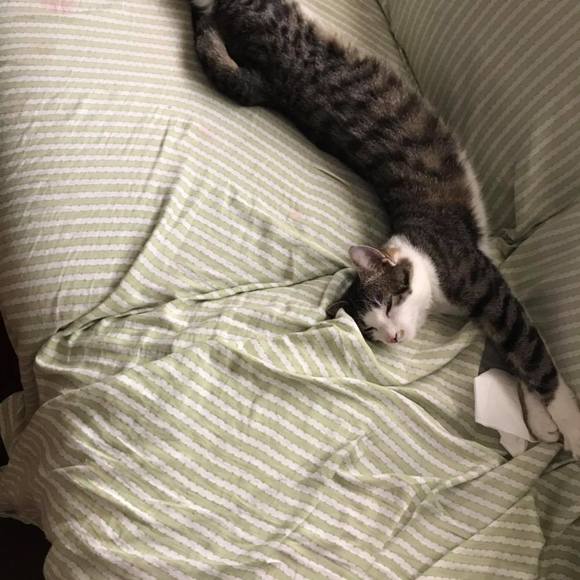 Profile Picture of Paula Knight (@paula_knight) on Poshmark