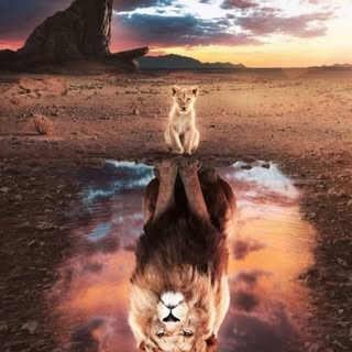 Profile Picture of sportsmenka (@annacordova_) on Instagram