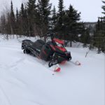 Profile Picture of Andrew Gosling (@andrew__gosling) on Instagram