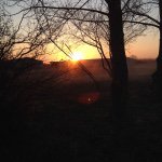 Profile Picture of Stephen Kenneth Sage Currin (@sagecurrin_) on Instagram