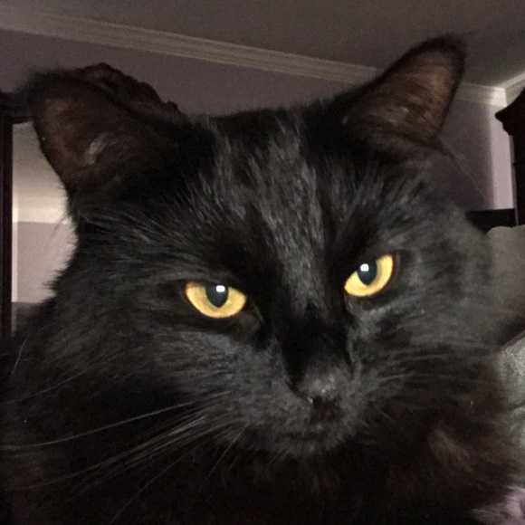 Profile Picture of Margaret Zysk (@pzysk225) on Poshmark