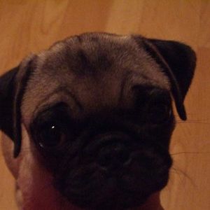 Profile Picture of Ivy Poon (@eye_bee) on Myspace