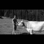 Profile Picture of Andreas Schmid (@_andi.schmid) on Instagram