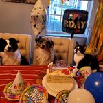 Jenni Negron - Instagram Profile Picture of Jenni Negron (@kteamadventures) on Instagram