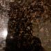 Profile Picture of lisa ponderson (@lp992467) on Pinterest