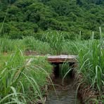 Profile Picture of Flaco Miguel (@flaco.miguel.804042) on Facebook