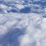 Alex Lapp - Instagram Profile Picture of Alex Lapp (@alexlapp) on Instagram