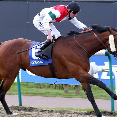 Profile Picture of Tripwise (@JamesCardle900) on Twitter