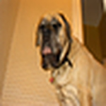 Profile Picture of Chrissy Murphy (@Tim & Chrissy Murphy) on Flickr