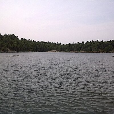 Profile Picture of Emmanuel Everett (@e_everett) on Twitter