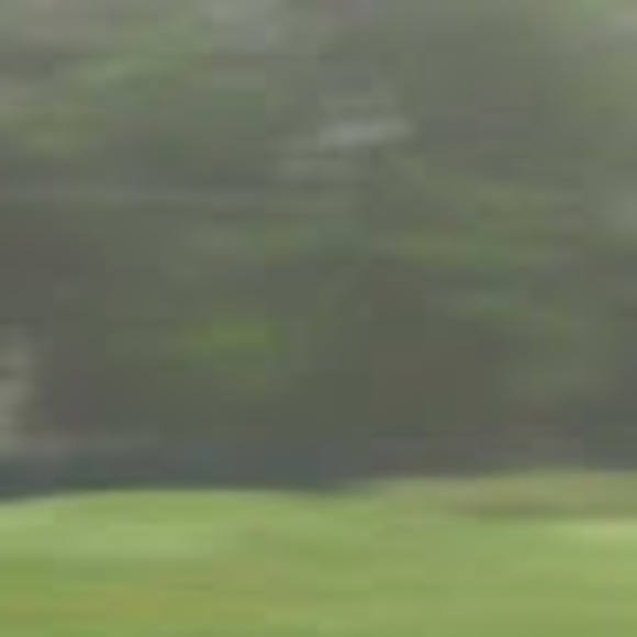 Brendan Mac bride - Poshmark Profile Picture of Brendan Mac bride (@brendanmacbride) on Poshmark