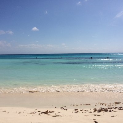Profile Picture of Candi M (@CandiMcGregor1) on Twitter