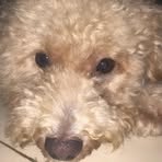 Profile Picture of Quách Đạt (@quach.at.978863) on Facebook