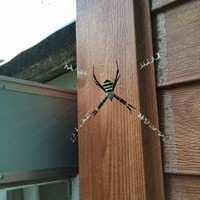 Profile Picture of Jayson Park (@jayson-park) on Quora