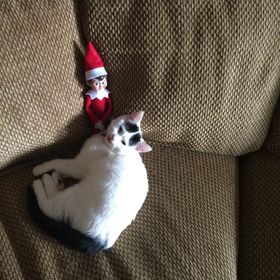 Profile Picture of Craig Lien (@craig_lien) on Pinterest