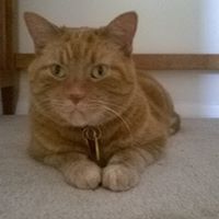 Profile Picture of Kevin Ripley (@kevinr1709) on Pinterest