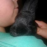 Profile Picture of pepper_.meredith (@pepper_.meredith) on Instagram