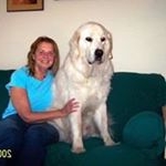 Profile Picture of Wanda Molnar (@molnarwanda) on Instagram