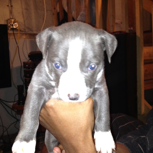 Profile Picture of Myrna Ross (@lovely8848) on Poshmark