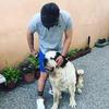 Profile Picture of Patrick Ferro (@patrickferro) on Tiktok