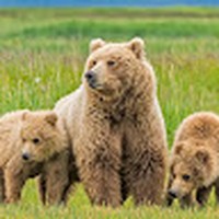 Aidan Morgan - Quora Profile Picture of Aidan Morgan (@aidan-morgan-68) on Quora